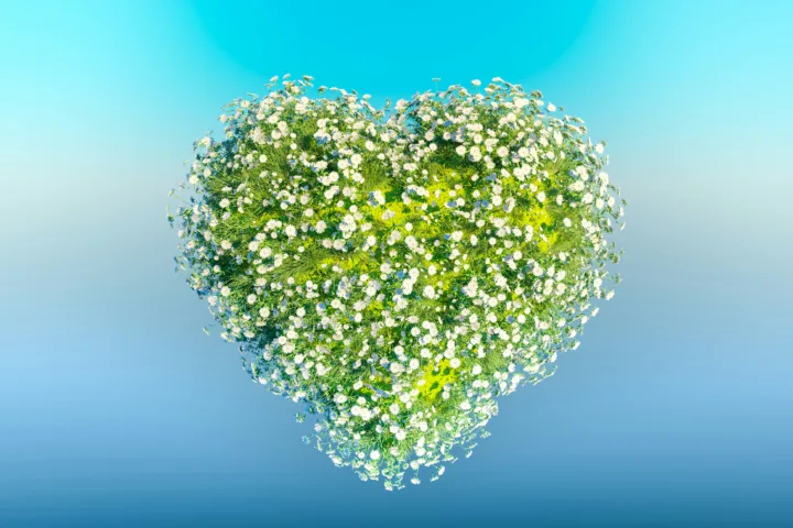 Can Kindness Be a Leadership Strategy?